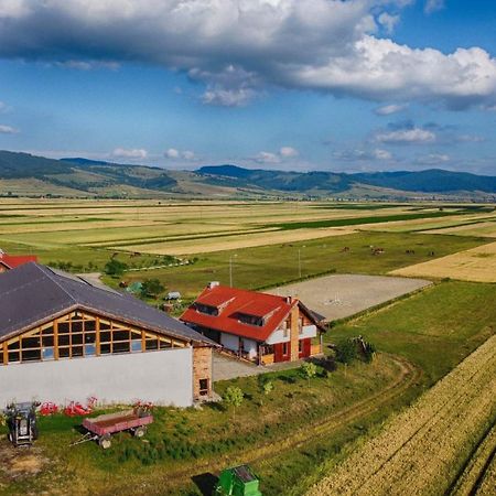 Kavalliera Pensiune Cotormani Exteriér fotografie