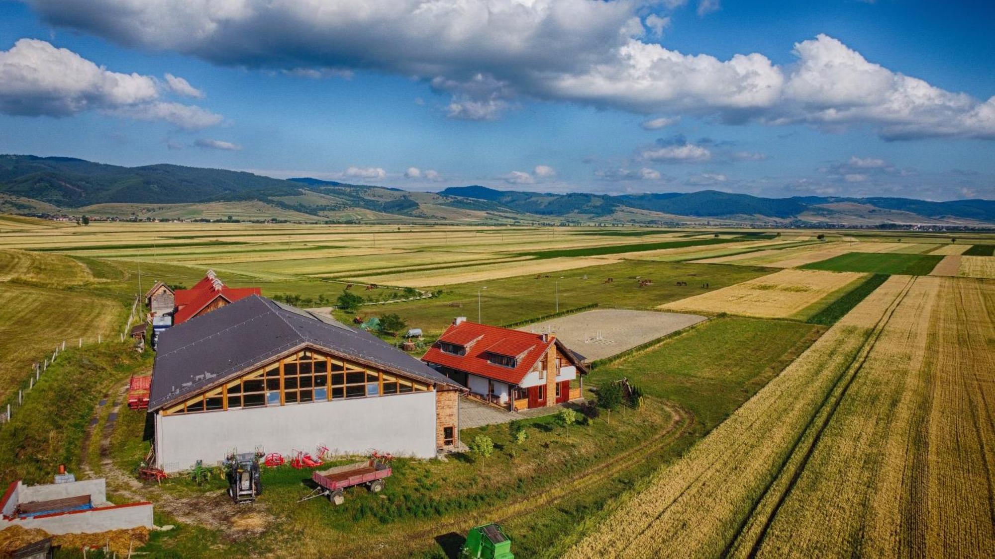Kavalliera Pensiune Cotormani Exteriér fotografie