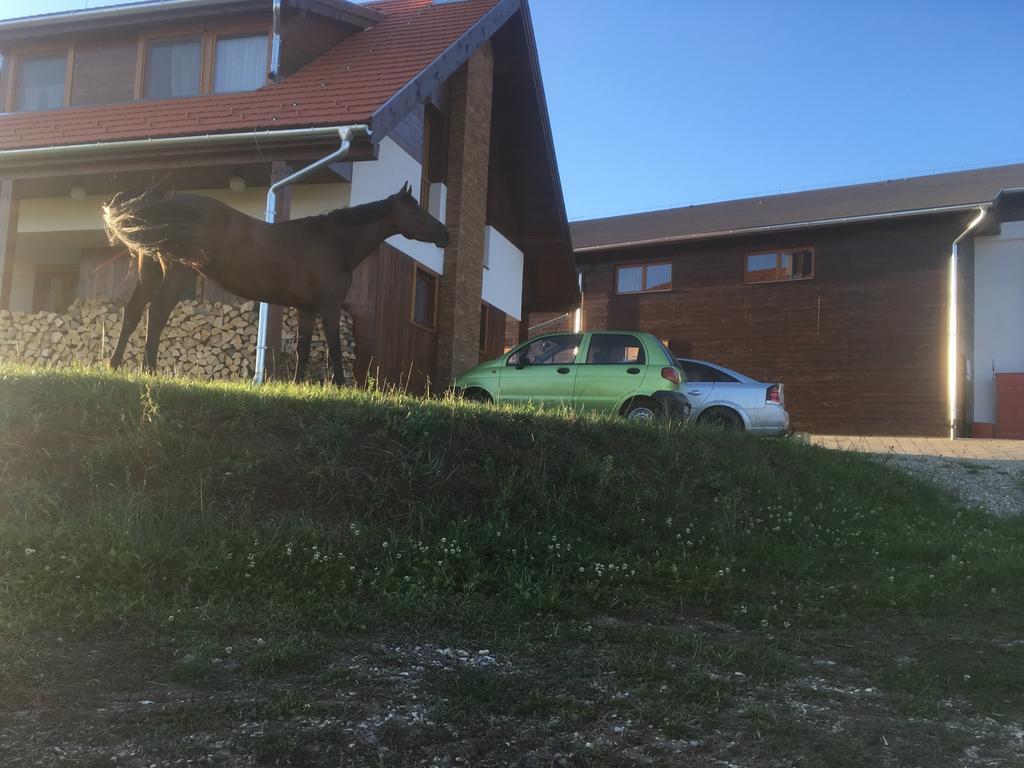 Kavalliera Pensiune Cotormani Exteriér fotografie